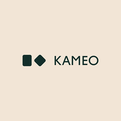 Kameo Health - Unused Concept #2