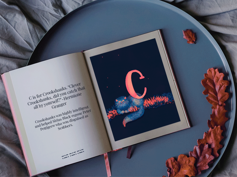 C for Crookshanks 36daysoftype animated gif design harry potter harrypotter hermione granger illustration photoshop picture book stop motion wacom intuos