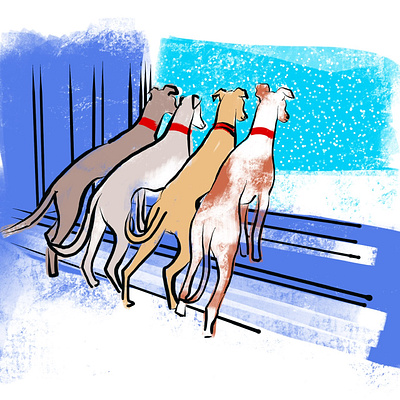 Greyhounds window illustration dogs greyhounds snow window winter
