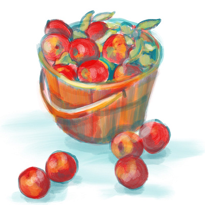 Apple bucket apples autumn bucket fall fresh picked illustration