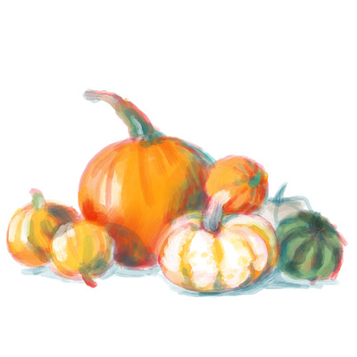Pumpkins illustration