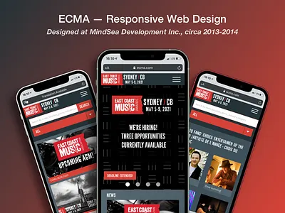 ECMA — Web Design (Responsive Mobile) ios mobile responsive safari webdesign website
