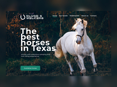 Homepage Hero - Horse sales page design figma hero section horse horses redesign redesigned ui ux web website website builder website design websites