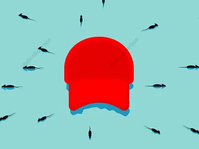 rats / sinking ship illustrator