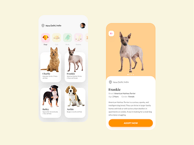 Mobile App Design - Pet Adoption adobexd app appdesign design figmadesign mobile ui ui ui ux ui design uidesign uidesigner uiux uiux design uiux designer uiuxdesign user interface design userinterface uxinspiration uxui web design