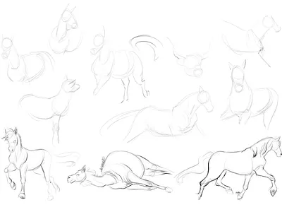 Equines warmups animal art animal sketch art draw drawing equine horse horses sketch sketchbook sketches warmups
