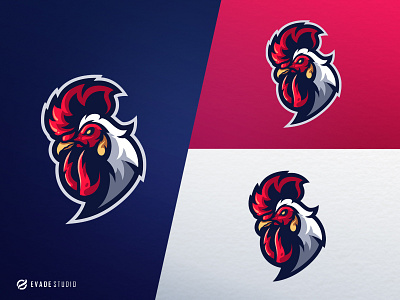 Chicken Mascot animal chicken design esportlogo esports illustration logo mascot mascot logo vector