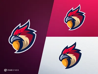 Falcon animal branding design esportlogo esports falcon illustration logo mascot mascot logo vector