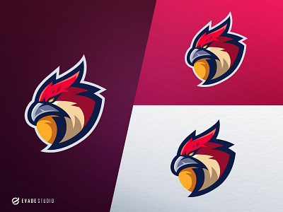 Falcon animal branding design esportlogo esports falcon illustration logo mascot mascot logo vector