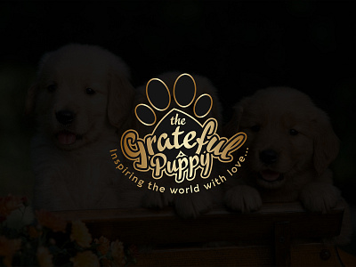 Pet Logo Design abstract logo dog logo luxury logo medical logo pet logo puppy logo vigenary logo