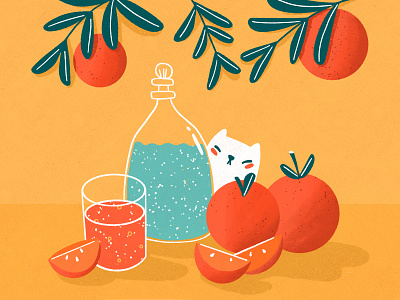 Orange still life cat illustration orange orange juice oranges still life water bottle water pitcher