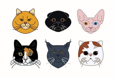 Free Cat Icons cat cats design flat icon icons illustration illustrator minimal vector