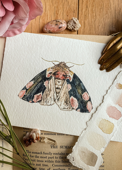 Peach Blossom Moth botanical design illustration moth painting portrait watercolor