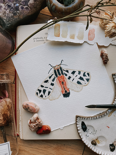 Mexican Tiger Moth botanical design illustration moth painting portrait watercolor