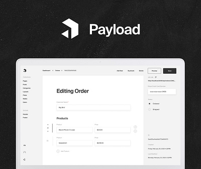 Introducing Payload CMS app brand branding ux uxui web design website