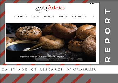 Daily Addict Research Report cx ux web