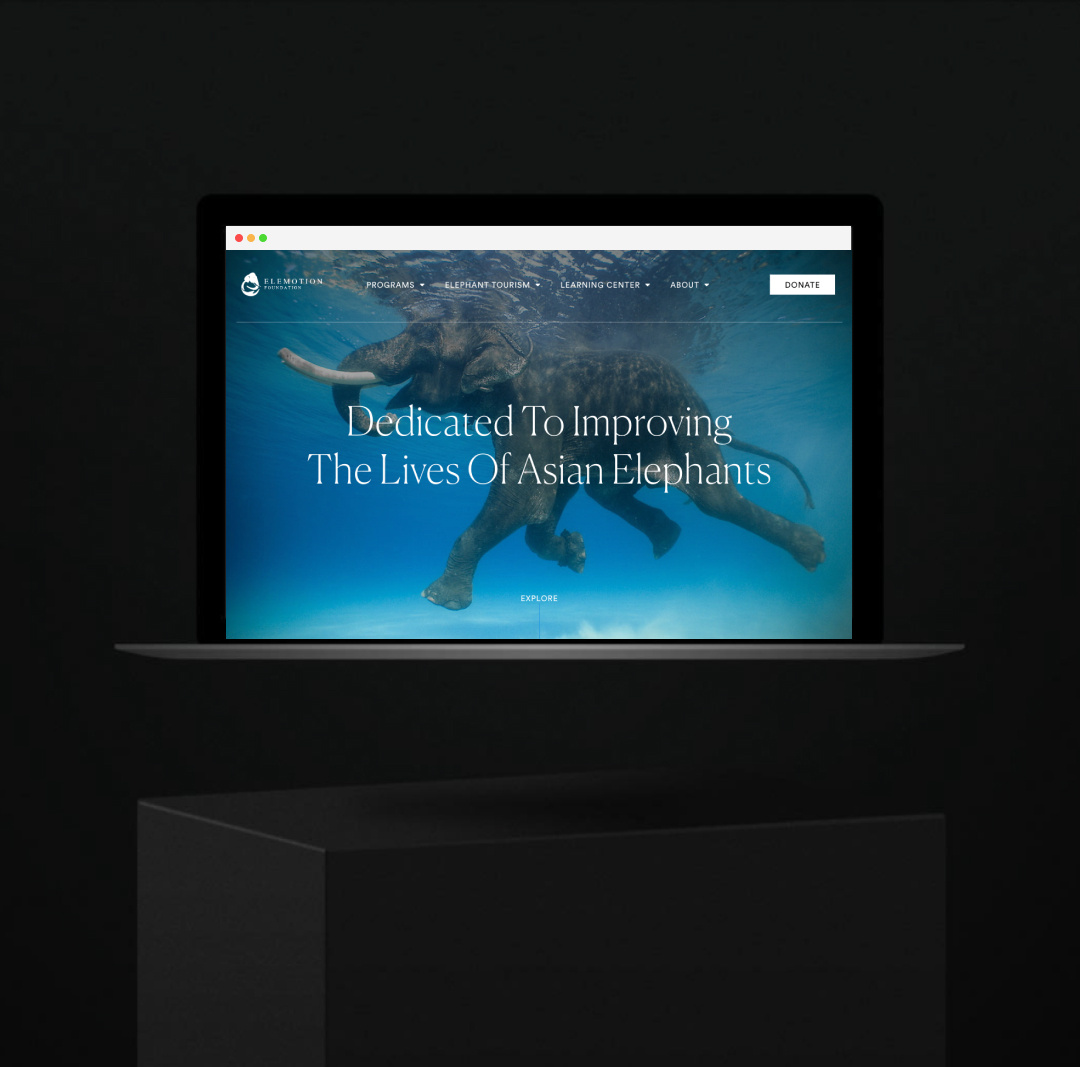 ELEMOTION HOMEPAGE animal elephant hero homepage nonprofit organization responsive uiux website