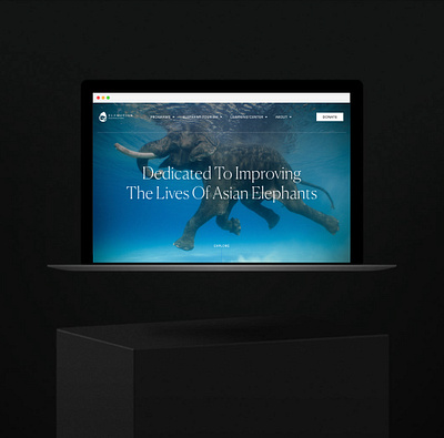 ELEMOTION HOMEPAGE animal elephant hero homepage nonprofit organization responsive uiux website