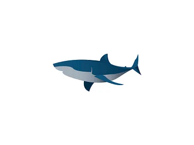 shark animation art blue branding darkblue design graphic design gray icon illustration illustrator logo pet shark vector