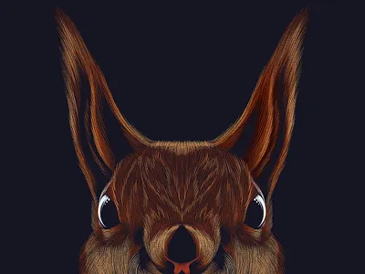 Nuts animal art artwork brush digital art digital painting drawing editorial illustration photoshop portrait squirell