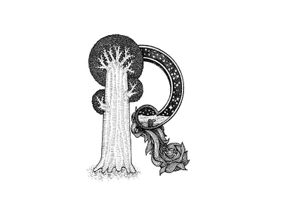 alphabet alphabet typography art design detailed details font graphic hand drawn handlettering illustration typogaphy