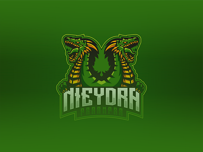 Nieydra Parampaa E-sport