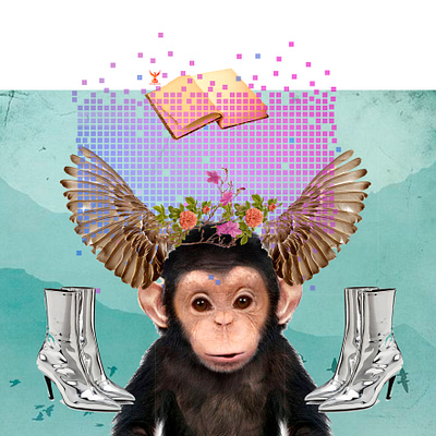 Monito