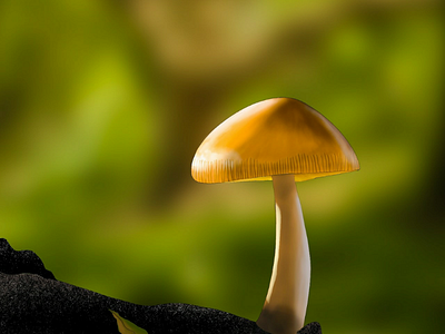 Day 3 - mushroom photoshop digitalart
