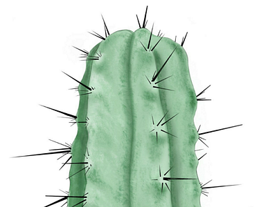 Day 1 - Cactus digitalart photoshop