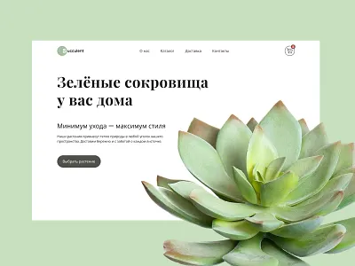 Design concept for a Succulent Shop design graphic design ui ux web design