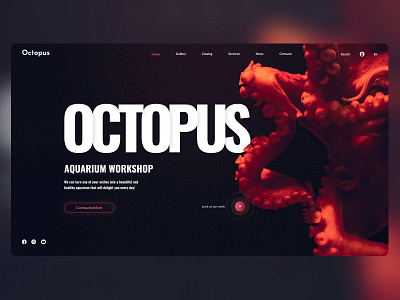 Aquarium Workshop//Part 1 branding concept design design e commerce homepage homepage design interface ui ux webdesign