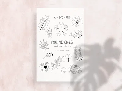 Nature and Botanicals Line Art botanical botanicals botany branding line art lineart minimalism natural nature vector