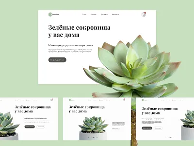 Design concept for a Succulent Shop design graphic design ui ux web design