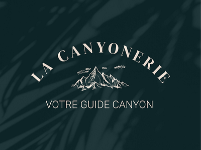 Canyoning art art direction brand identity branding canyon design director green identity logo logos logotype mountains sport typogaphy vector water waterfall