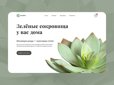 Design concept for a Succulent Shop design graphic design ui ux web design