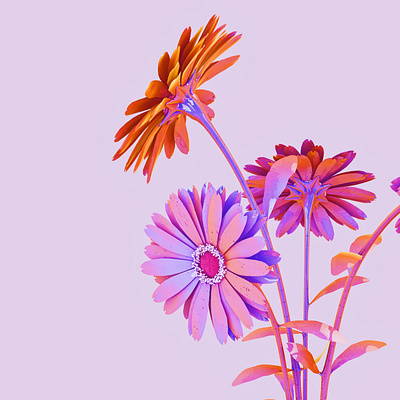 Holographic Still Life