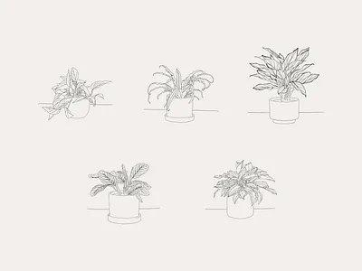 Hand-drawn Houseplant Illustrations design house plant house plants illustration leaves plant plant illustration planting plants pot potted potted plant procreate vector vector art vector illustration
