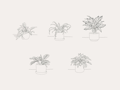 Hand-drawn Houseplant Illustrations design house plant house plants illustration leaves plant plant illustration planting plants pot potted potted plant procreate vector vector art vector illustration