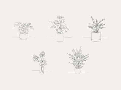 Hand-drawn Houseplant Illustrations design house plant house plants illustration leaves plant plant illustration planting plants pot potted potted plant procreate vector vector art vector illustration
