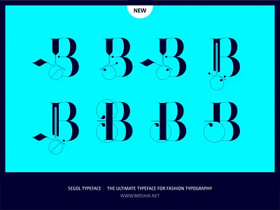 Segol Typeface Alternate B by Moshik Nadav Typography fashion font