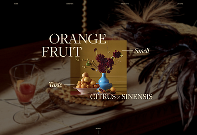 Citrus x Sinensis Microsite design ui website