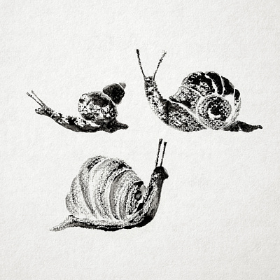 Snails bw illustration ink inktober monochrome monotype print snail