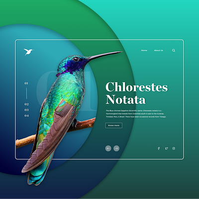 Colourful Nature Landing Page 01 app application concept design desktop design digital design nature responsive design responsive web design ui ui designer uiux ux web concept web design