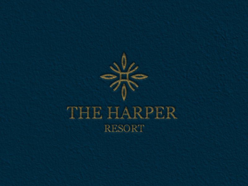 Example of Logo Design