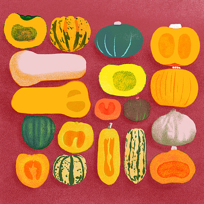 Squash, for 21 Days of Good Health colorful digital art food illustration good health illustration squash texture vegetable illustration