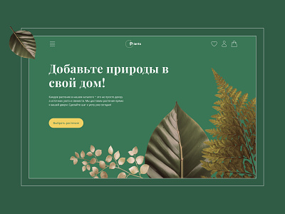 Design concept for a Home Plants design graphic design ui ux web design