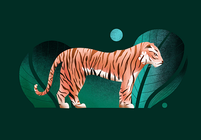 Tiger in the woods 100daysofillustration illustration procreate