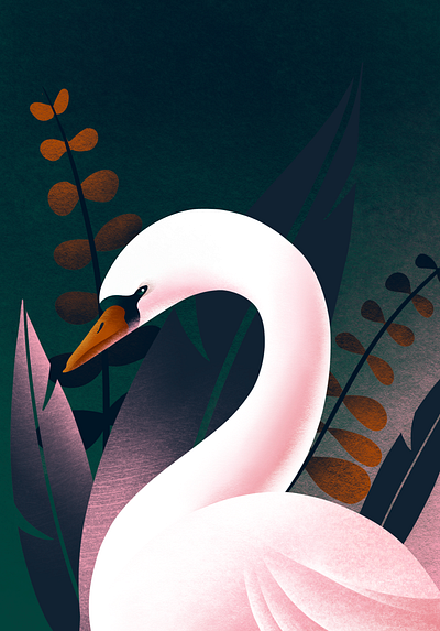 Swan 100daysofillustration illustration procreate