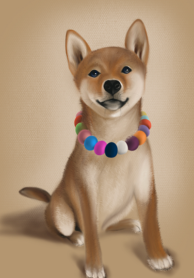 Shiba Inu 100daysofillustration illustration procreate