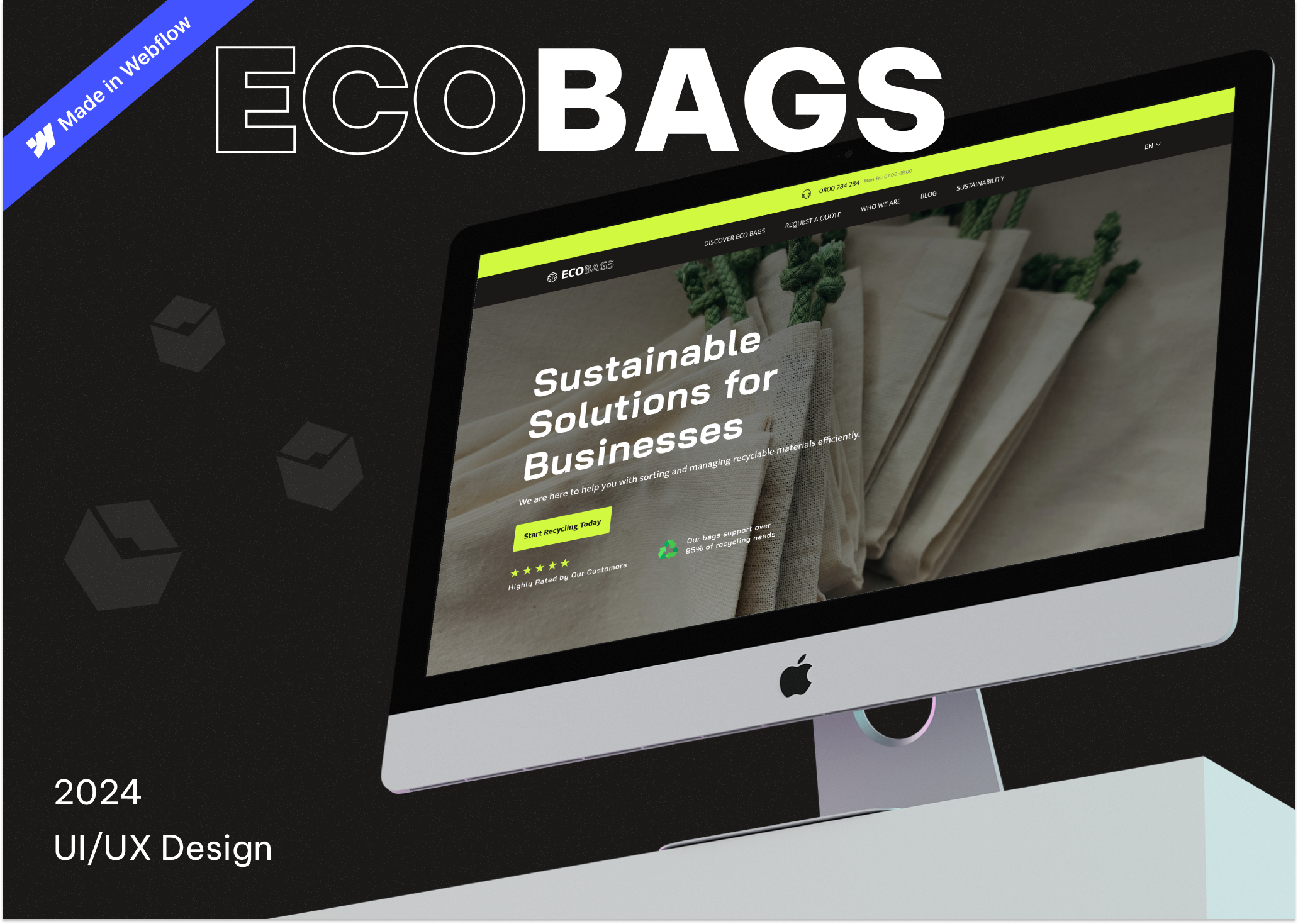 Example of Webflow Development
